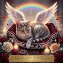 In memory of my baby Bella