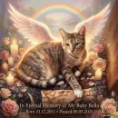 In memory of my baby Bella