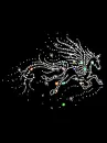 pegasus