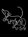 dachshund