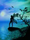 fairy