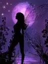 fairy