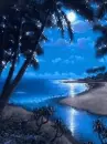 moon lit beach