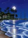 moon lit beach
