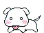 white puppy