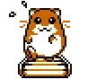 running hamster