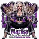 Bella Series