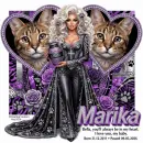 Bella Series