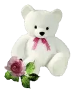 teddy bear with a rose