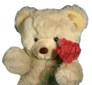teddy bear with a rose