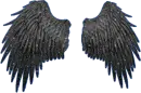 Dark Angel Wings