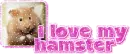 I love my hamster