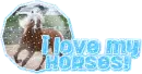 I love my horses
