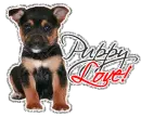 puppy love