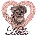 hello