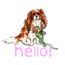 hello