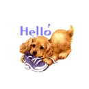 hello