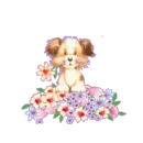 hello