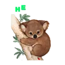 hello
