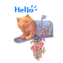 hello