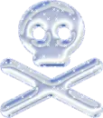Silver Skull & Crossbones
