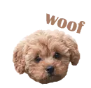 woof woof