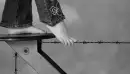 Walking the line