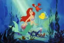 under the sea