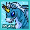 Splash
