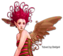 Fairy #71