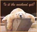 Is it the weekend yet?