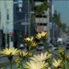 city life