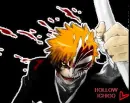 Hollow Ichigo