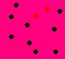Polka