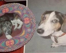Basset Hound Background