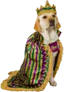 mardi gras king
