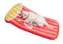 summer fun