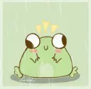 Rainy Frog 