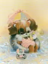 puppy