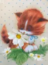 kitten