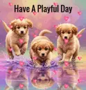 Playful Day