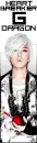 G-Dragon Heartbreaker boarder