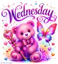 Wednesday 