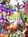 hummingbirds