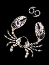 crab - cancer