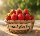 Have A Nice Day