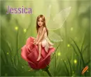 Jessica Rose Fairy