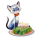 cat with birthday cake