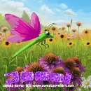DragonFly- Jessi