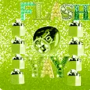 xo Flash For You, Flash xo